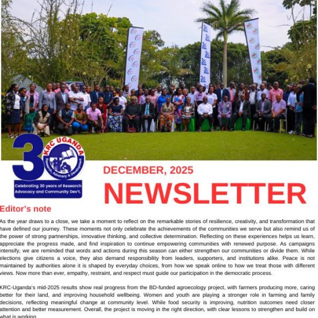 Newsletter December 2025