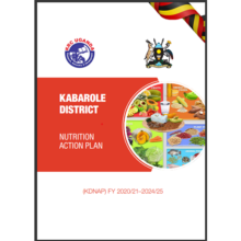 Kabarole District Nutrition Action Plan