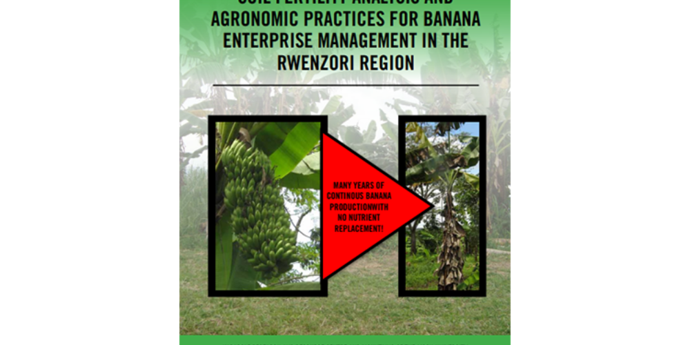 SOIL FERTILITY ANALYSIS AND AGRONOMIC PRACTICES FOR BANANA ENTERPRISE MANAGEMENT IN THE RWENZORI REGION
