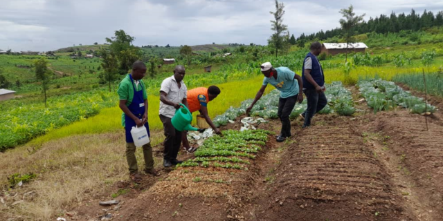 CREATING DEMONSTRATION GARDENS IN ECD CENTERS TO COMBAT MALNUTRITION