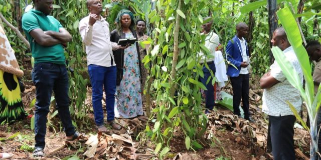Farmers learning from farmers: Strengthening Uganda’s vanilla value chain through exchange visits.
